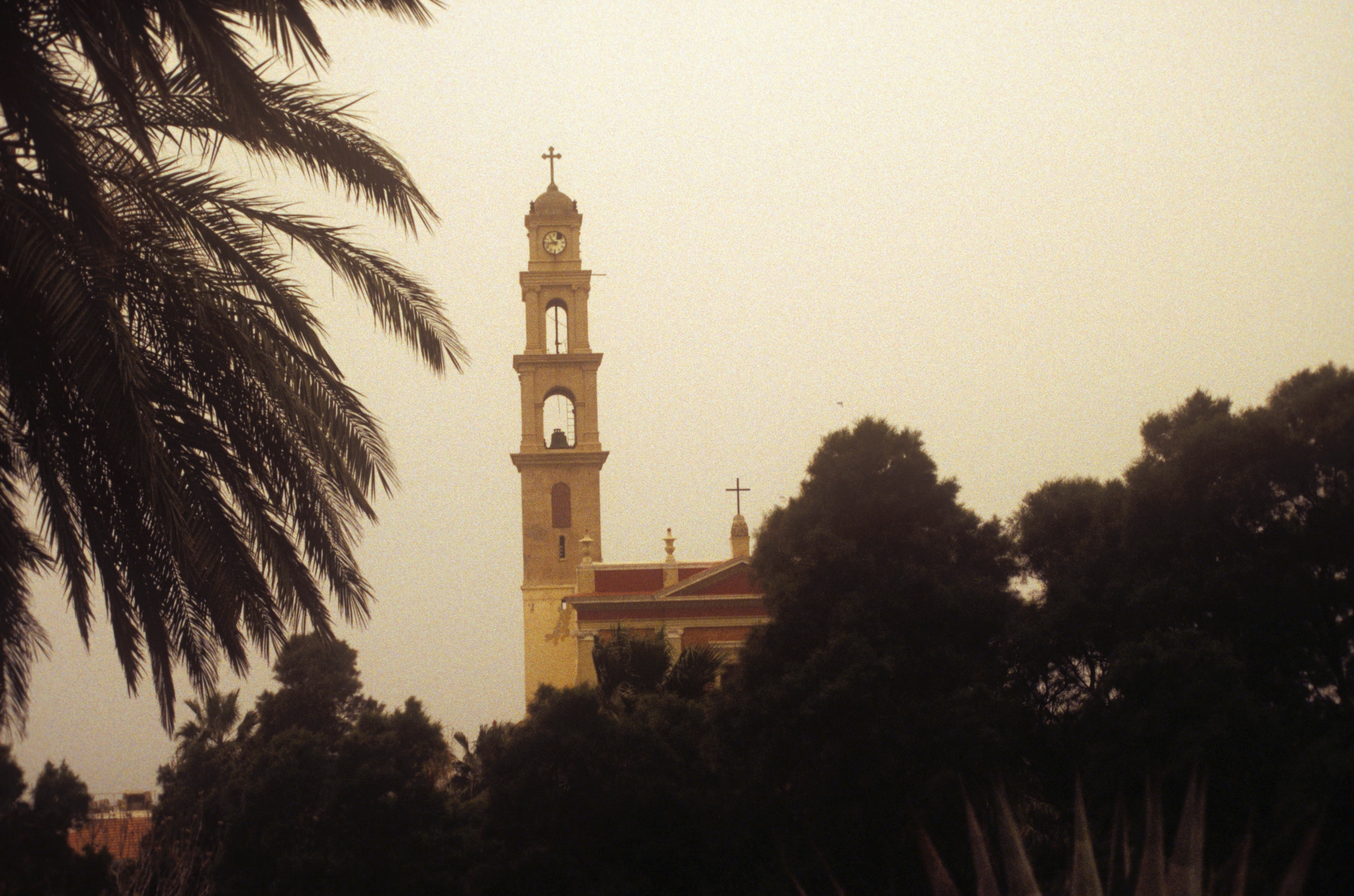 Church bell tower with cross rising above palm trees in the Holy Land