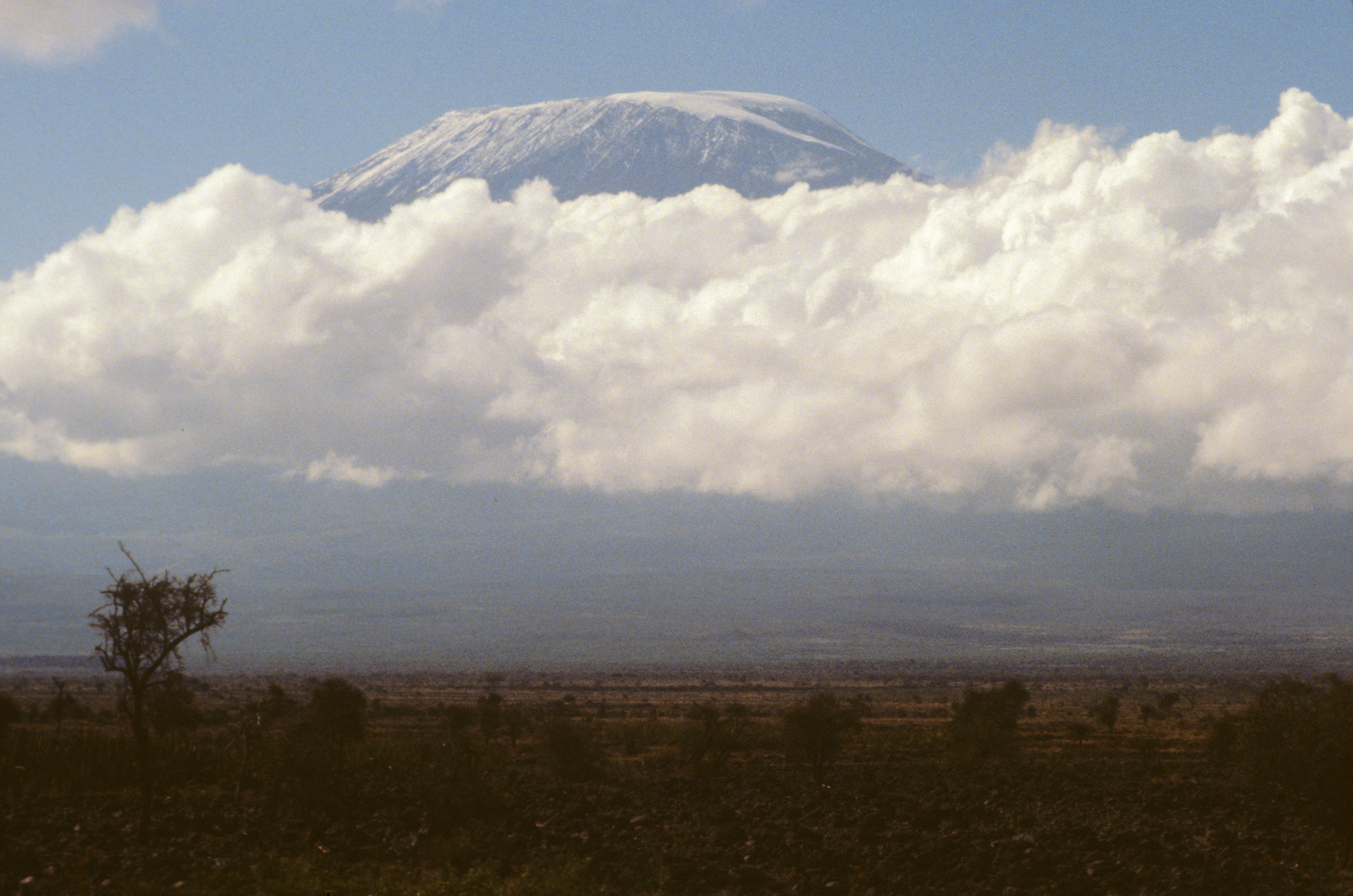 Mount Kilimanjaro rising above the clouds over the Kenyan savanna
